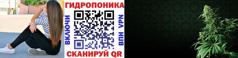 Как найти закладки Пойковский Канабис ГАШ
