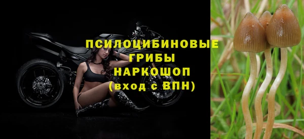 синтетический гашиш Саяногорск